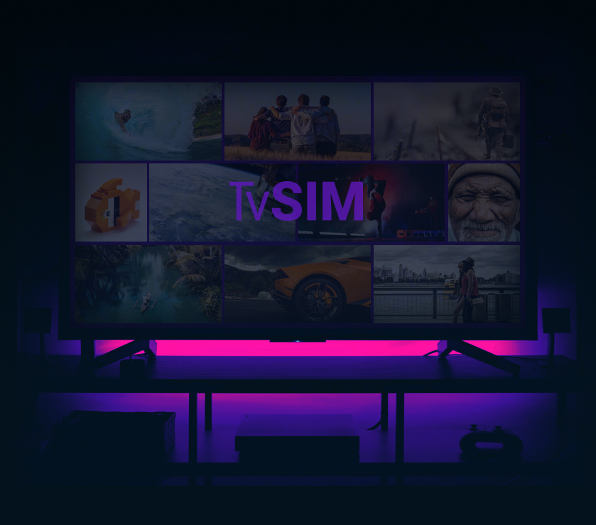 TV Sim Game